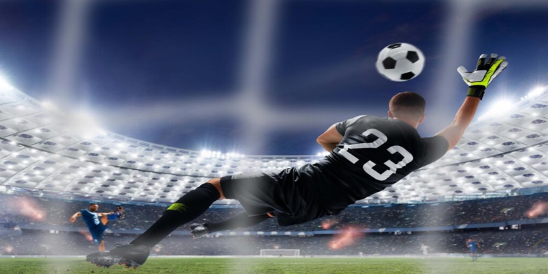 Nên làm gì để cá cược thể thao online thắng lớn
